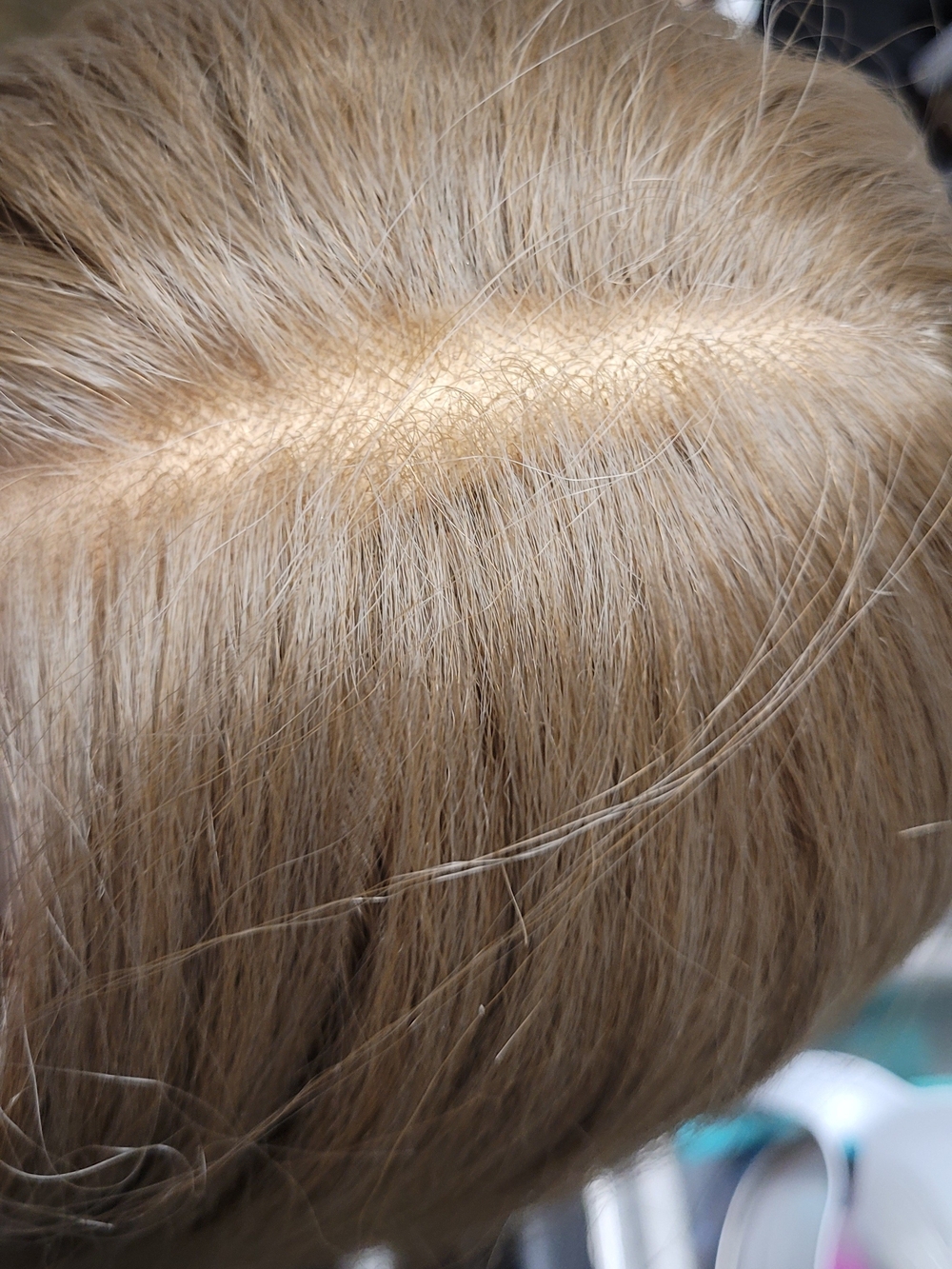 Dark Ash BLONDE Lace Front Wig